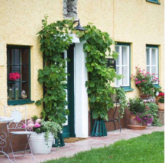 Ferienwohnung Alpenblick Кухль Екстер'єр фото