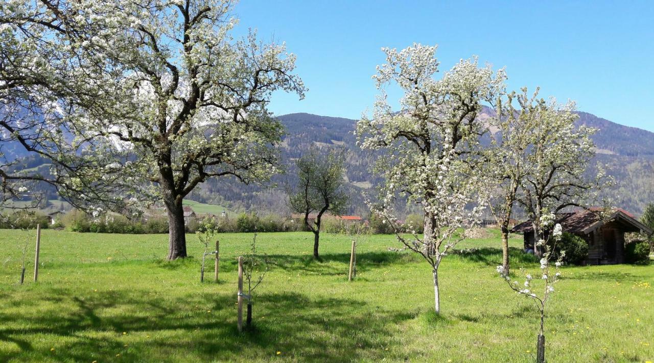 Ferienwohnung Alpenblick Кухль Екстер'єр фото